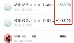 实名爆料视频大全最新,揭秘社会热点事件背后的真相