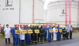 南阳街道爆料事件最新,事件真相逐步浮出水面